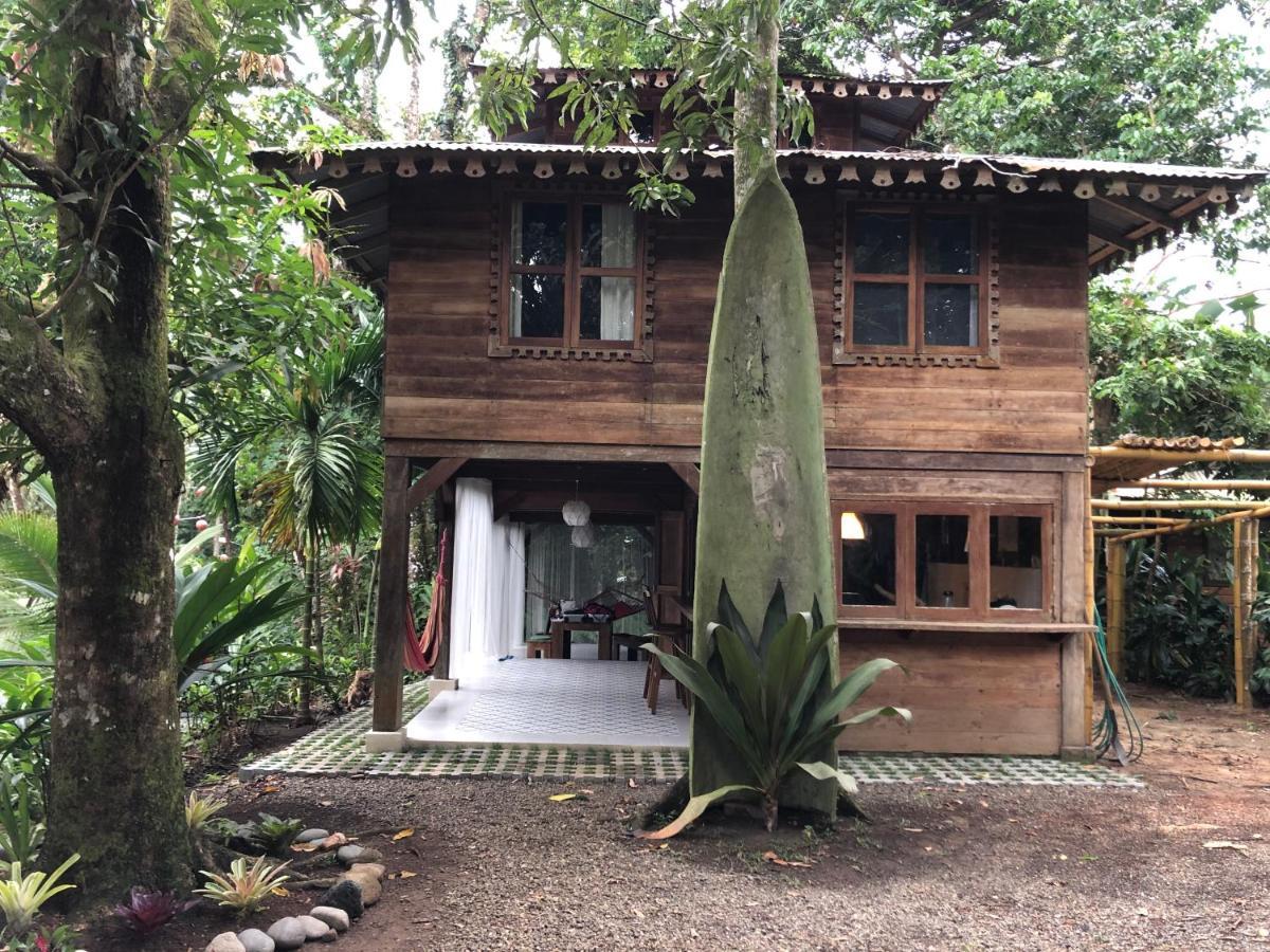 Casa De La Trepada Villa Cocles Exteriör bild