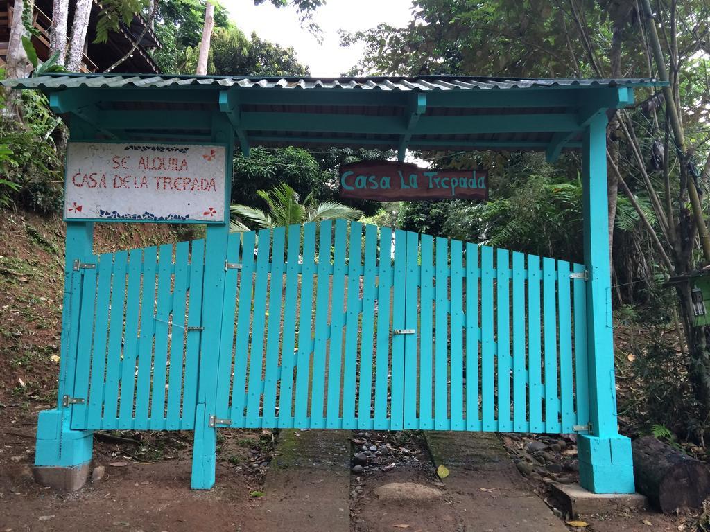 Casa De La Trepada Villa Cocles Rum bild