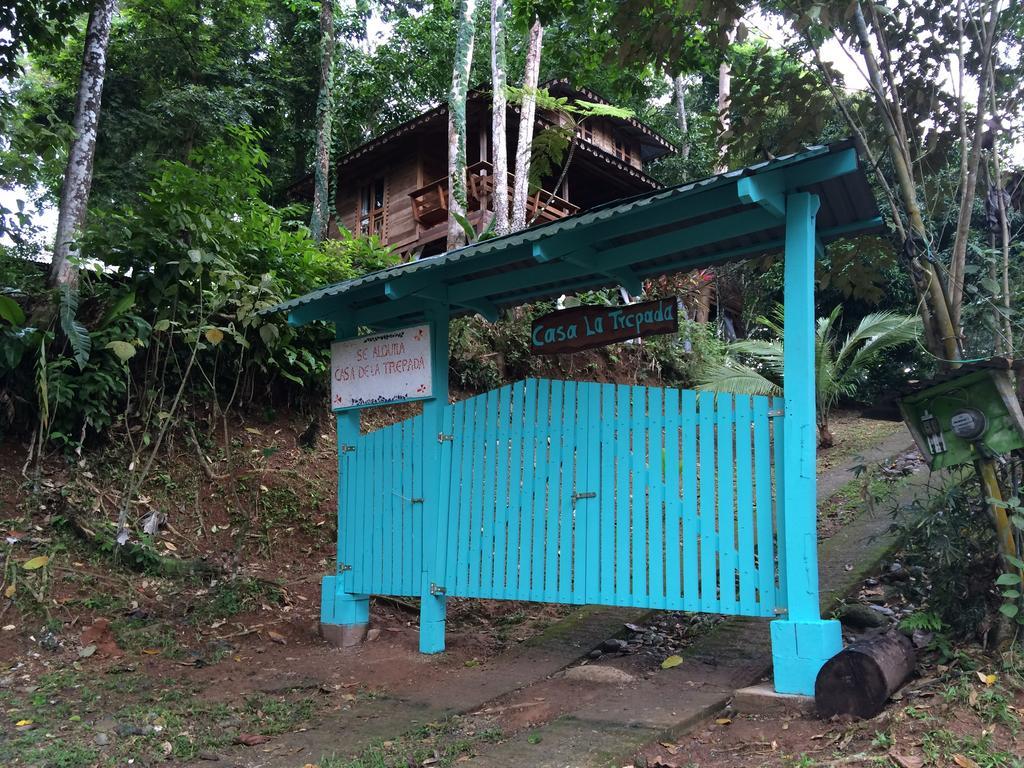 Casa De La Trepada Villa Cocles Rum bild