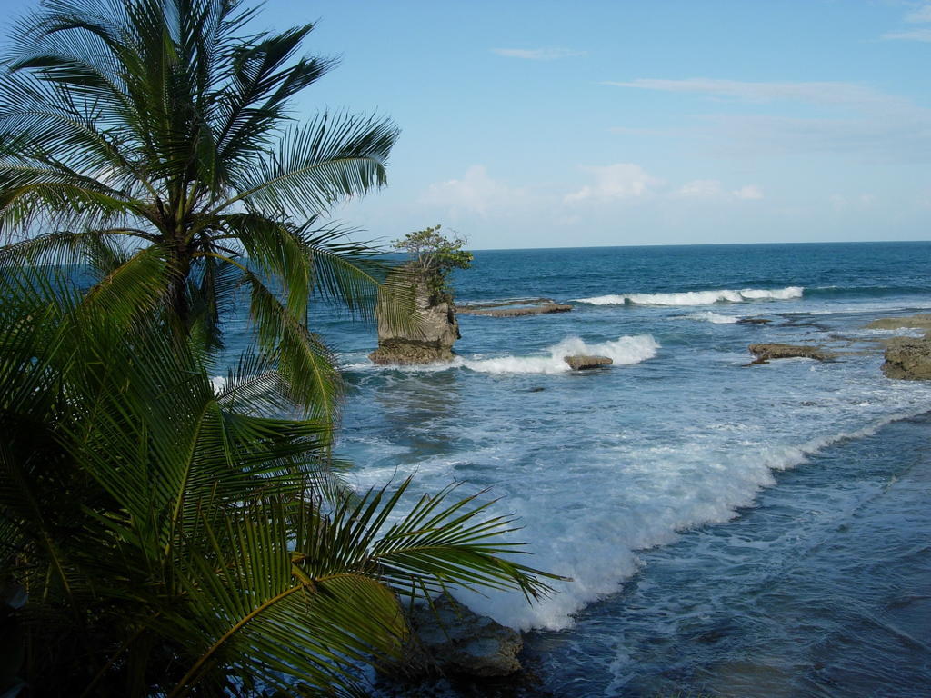 Casa De La Trepada Villa Cocles Rum bild