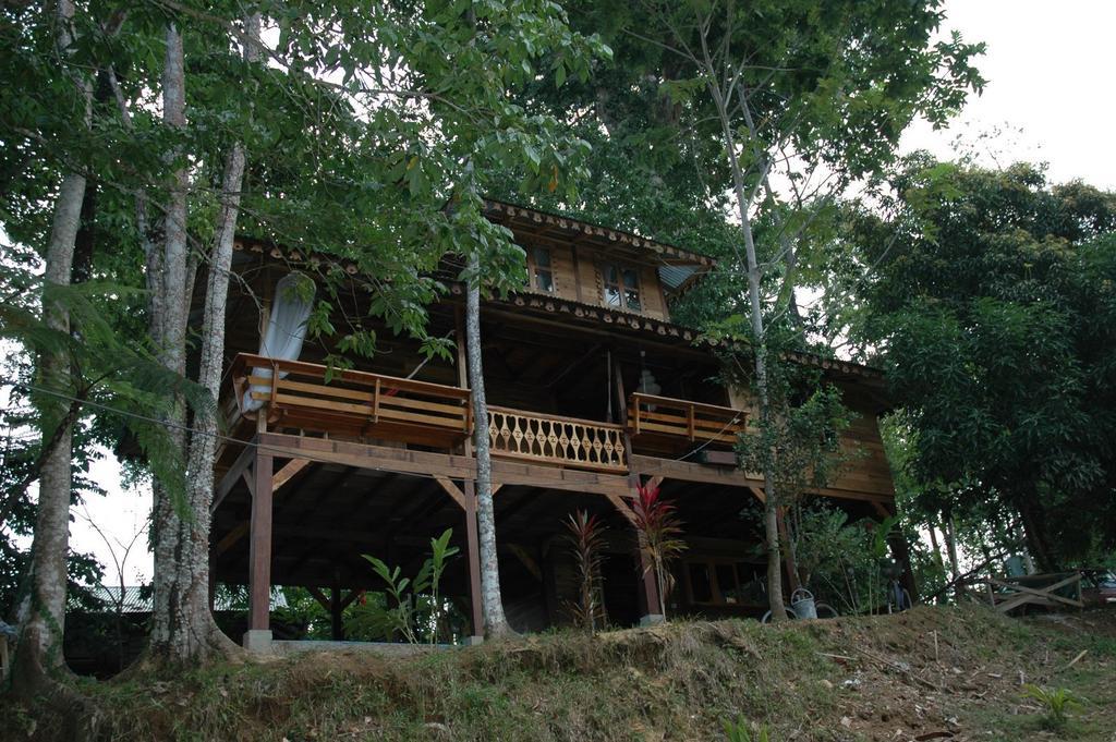 Casa De La Trepada Villa Cocles Exteriör bild