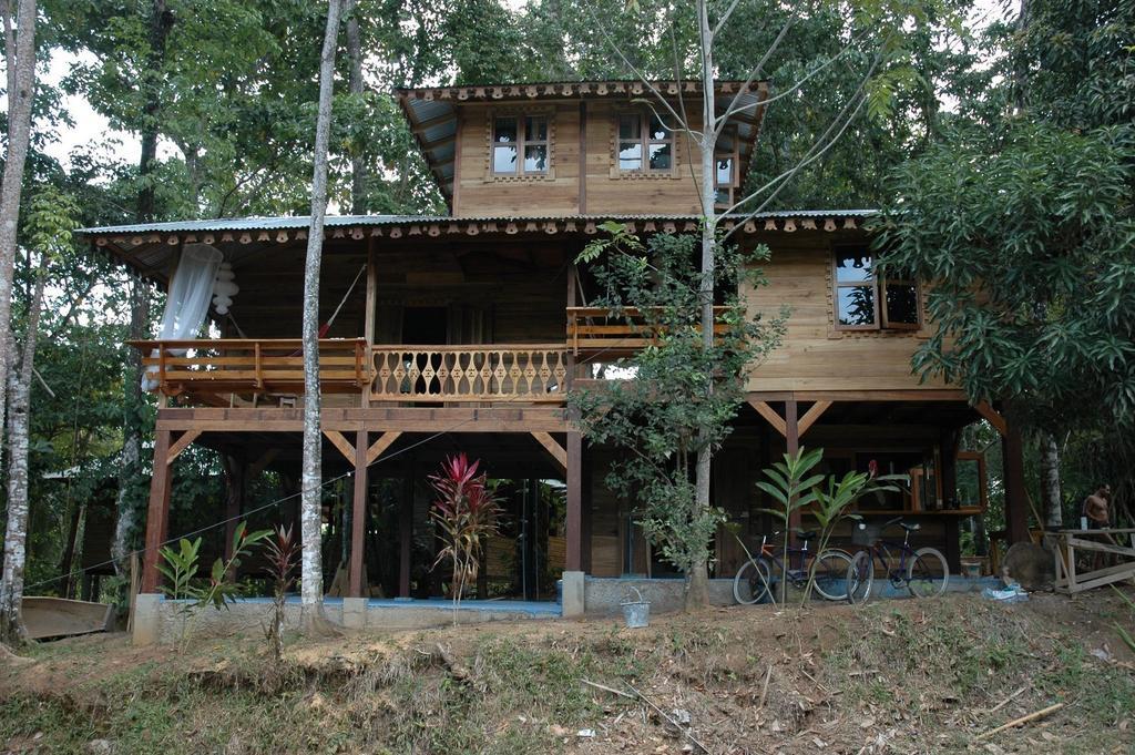 Casa De La Trepada Villa Cocles Rum bild